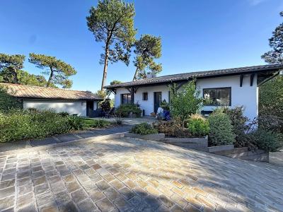 Arcachon, Aquitaine 33120, France