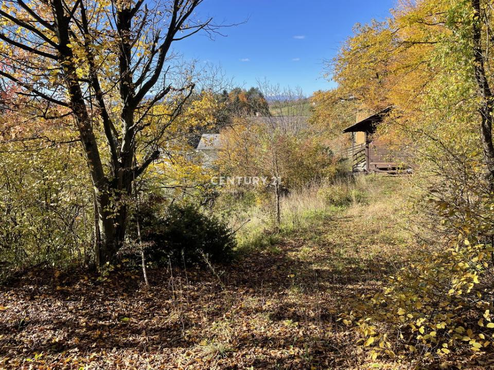 Žalec, Galicija, Žalec, Savinjska, Slowenien