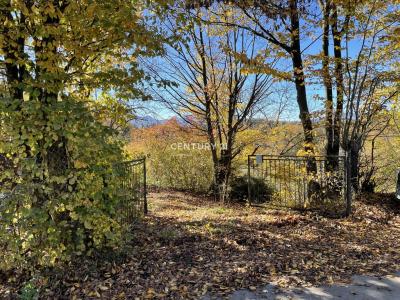 Žalec, Galicija, Žalec, Savinjska, Slowenien