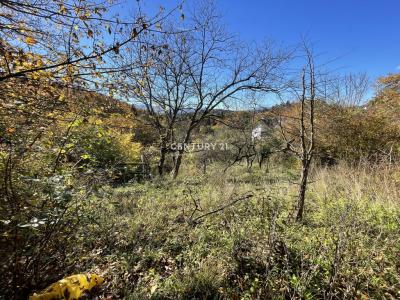 Žalec, Galicija, Žalec, Savinjska, Slowenien