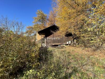 Žalec, Galicija, Žalec, Savinjska, Slowenien