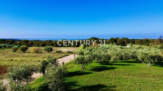 Poreč, Poreč, Istarska Županija 52440, Croazia