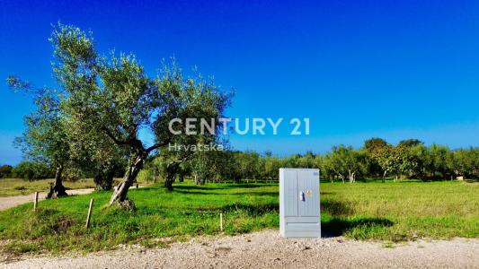 Poreč, Poreč, Istarska Županija 52440, Croazia