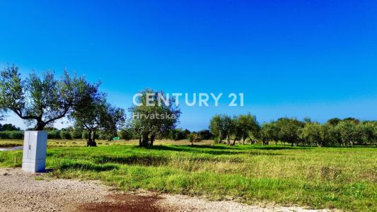 Poreč, Poreč, Istarska Županija 52440, Croazia