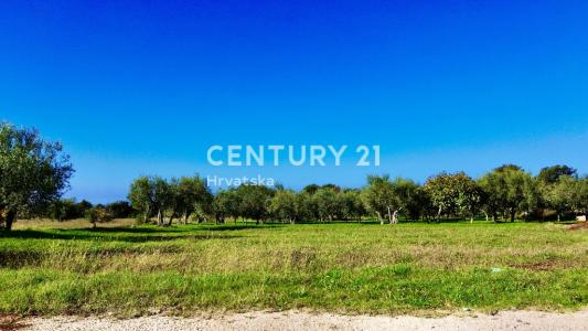 Poreč, Poreč, Istarska Županija 52440, Croazia