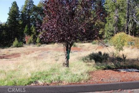 13911 Cluster Court, Magalia, California 95954, USA