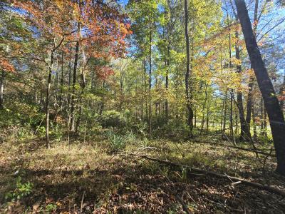 0 Horseshoe Bend Rd, Pennington Gap, Virginia 24277