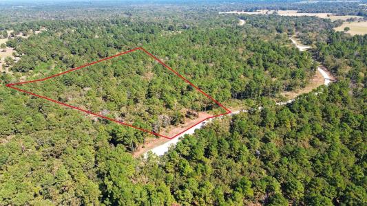 60 County Road 114, Centerville, Teksas 75833, Amerika Birleşik Devletleri