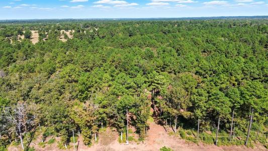 60 County Road 114, Centerville, Teksas 75833, Amerika Birleşik Devletleri