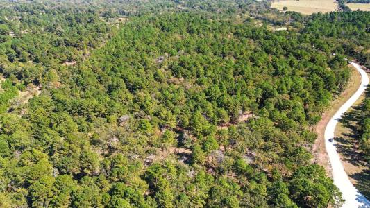 60 County Road 114, Centerville, Teksas 75833, Amerika Birleşik Devletleri