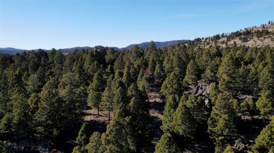 91 Upper Radar Creek Road, Whitehall, מונטנה 59759, ארצות הברית של אמריקה 