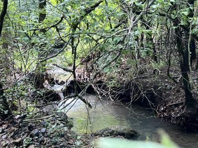 Unk FS Road 521, Mena, Arkansas 71953, Estados Unidos