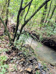 Unk FS Road 521, Mena, Arkansas 71953, Estados Unidos