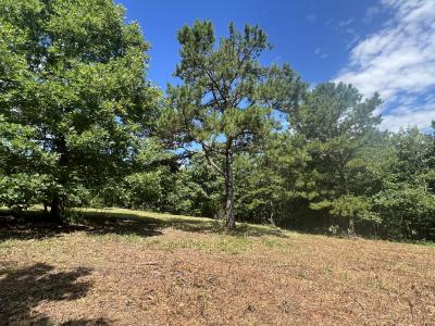 Unk FS Road 521, Mena, Arkansas 71953, Estados Unidos