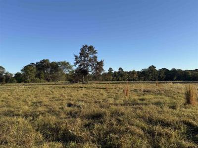 TBD CR 4194 Tract 9, Henderson, Texas 75654, États-Unis