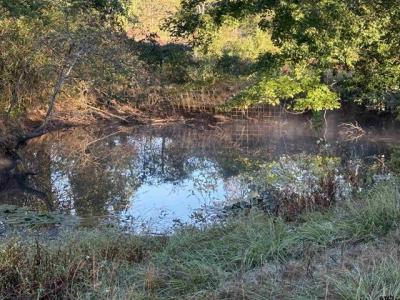 TBD CR 4194 Tract 8, Henderson, Texas 75654, États-Unis