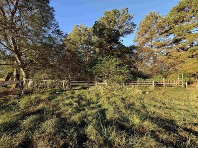 TBD CR 4194 Tract 8, Henderson, Texas 75654, États-Unis