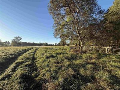 TBD CR 4194 Tract 8, Henderson, Texas 75654, États-Unis