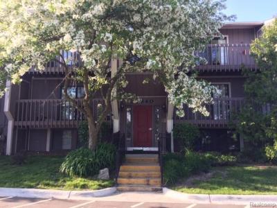 29840 W. 12 Mile Rd., Unit 401, Farmington Hills, Michigan 48334, USA