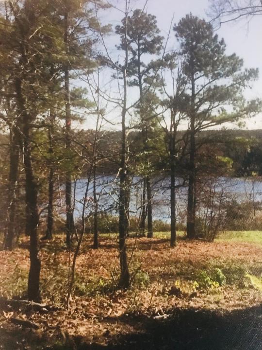 Lot 17 CR 3545, Hawkins, Texas 75765