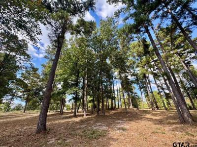 Lot 17 CR 3545, Hawkins, Texas 75765