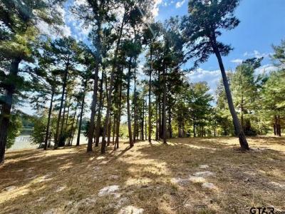 Lot 17 CR 3545, Hawkins, Texas 75765