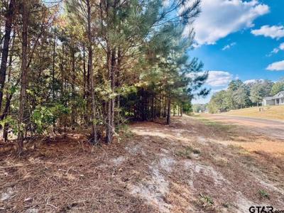 Lot 17 CR 3545, Hawkins, Texas 75765