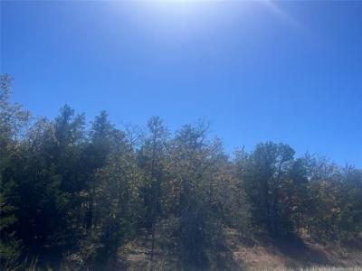 State Hwy 71 Clayton, Clayton, Oklahoma 74536, Stati Uniti