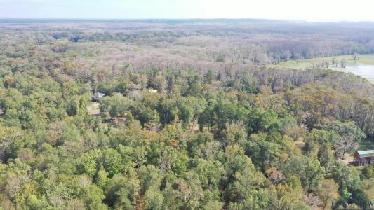 000 Jackson Arm Rd, Karnack, 德克薩斯州 75661, 美國