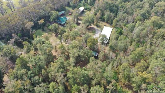 000 Jackson Arm Rd, Karnack, 德克薩斯州 75661, 美國