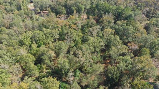 000 Jackson Arm Rd, Karnack, 德克薩斯州 75661, 美國