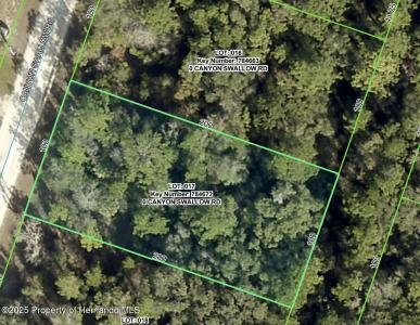 Lot 17 Canyon Swallow Road, Weeki Wachee, 佛罗里达州 34614, 美国
