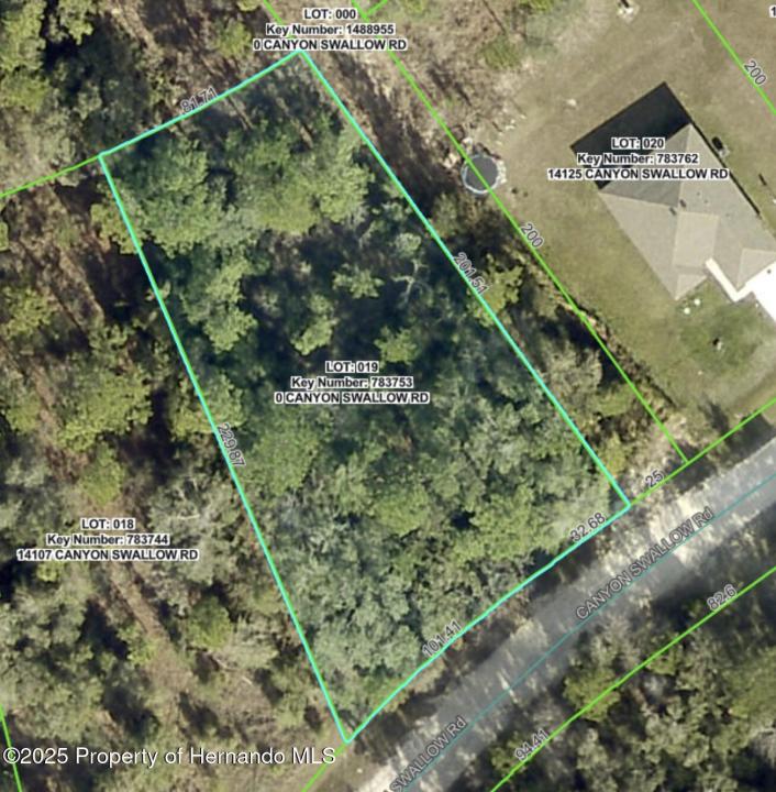 Lot 19 Canyon Swallow Road, Weeki Wachee, 佛罗里达州 34614, 美国