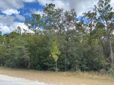 Lot 19 Canyon Swallow Road, Weeki Wachee, 佛罗里达州 34614, 美国