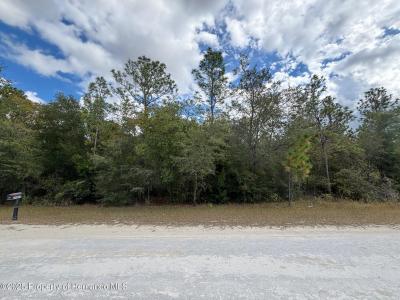 Lot 19 Canyon Swallow Road, Weeki Wachee, 佛罗里达州 34614, 美国