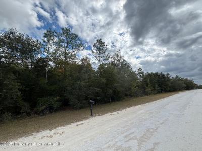 Lot 19 Canyon Swallow Road, Weeki Wachee, 佛罗里达州 34614, 美国