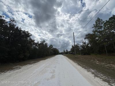 Lot 19 Canyon Swallow Road, Weeki Wachee, 佛罗里达州 34614, 美国