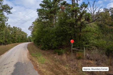 TBD CR 2332, Pittsburg, Texas 75686, USA