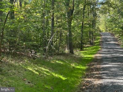 PARCEL 7 Finn Lane, Elkwood, 維吉尼亞州 22718, 美國