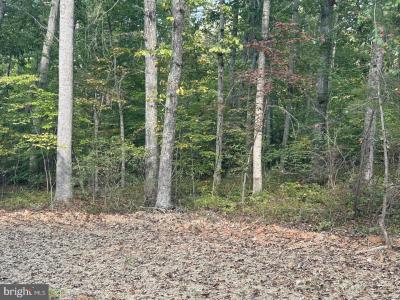 PARCEL 18 Camden Lane, Elkwood, 維吉尼亞州 22718, 美國