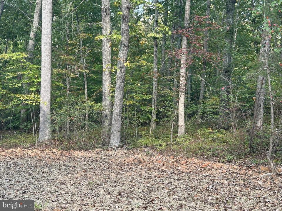 PARCEL 18 Camden Lane, Elkwood, 維吉尼亞州 22718, 美國