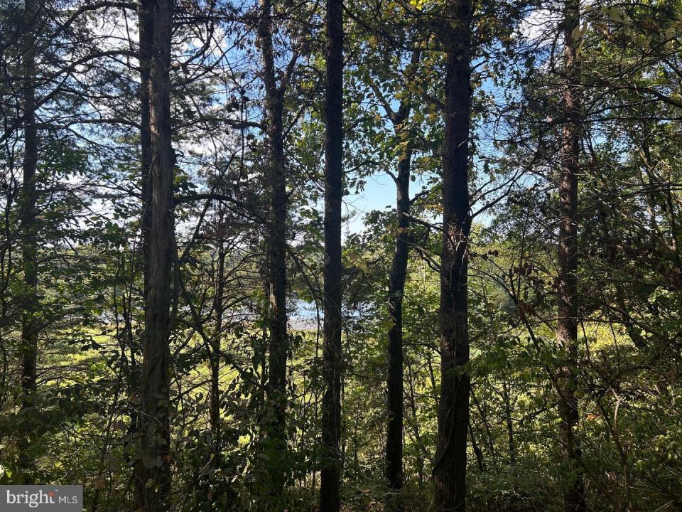 PARCEL 14 Kipps Lane, Elkwood, 弗吉尼亚州 22718, 美国