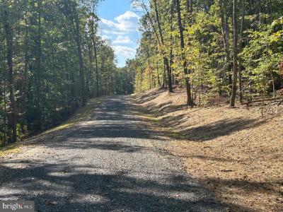 PARCEL 20 Kipps Lane, Elkwood, 維吉尼亞州 22718, 美國