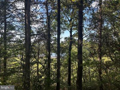 PARCEL 15 Kipps Lane, Elkwood, 維吉尼亞州 22718, 美國