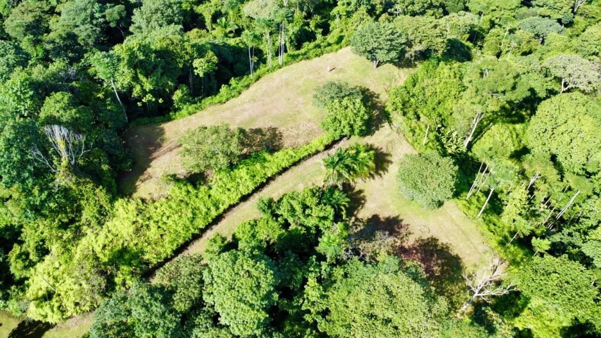 Ojochal Puerto Cortés Osa, Puntarenas 00001, Costa Rica