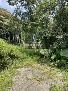 國昌二街, Shalu Dist., Taichung City 433, Taiwan