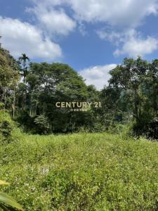 國昌二街, Shalu Dist., Taichung City 433, Taiwan