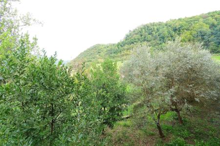 Lucca, Toscana 55100, Itália