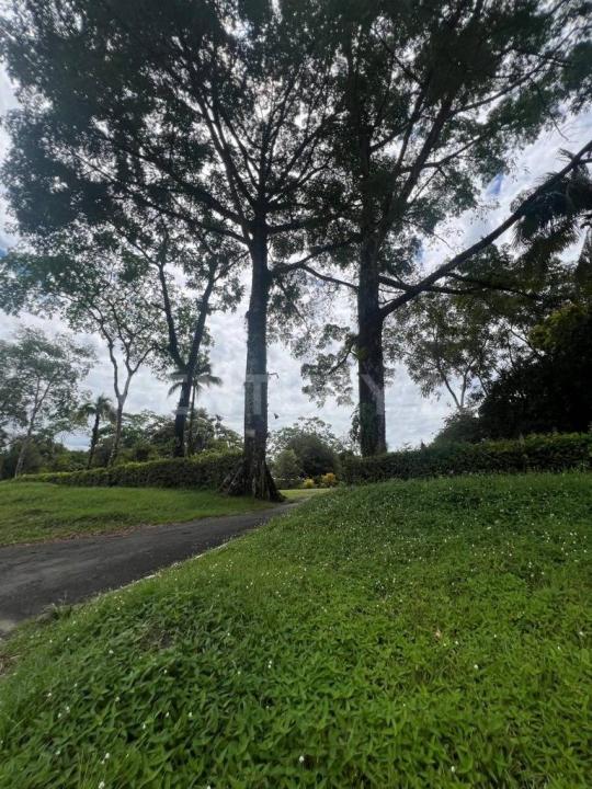 Villavicencio, Meta 00001, Colombia