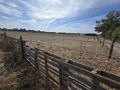 Moita, Setubal 2860-507, Portugal